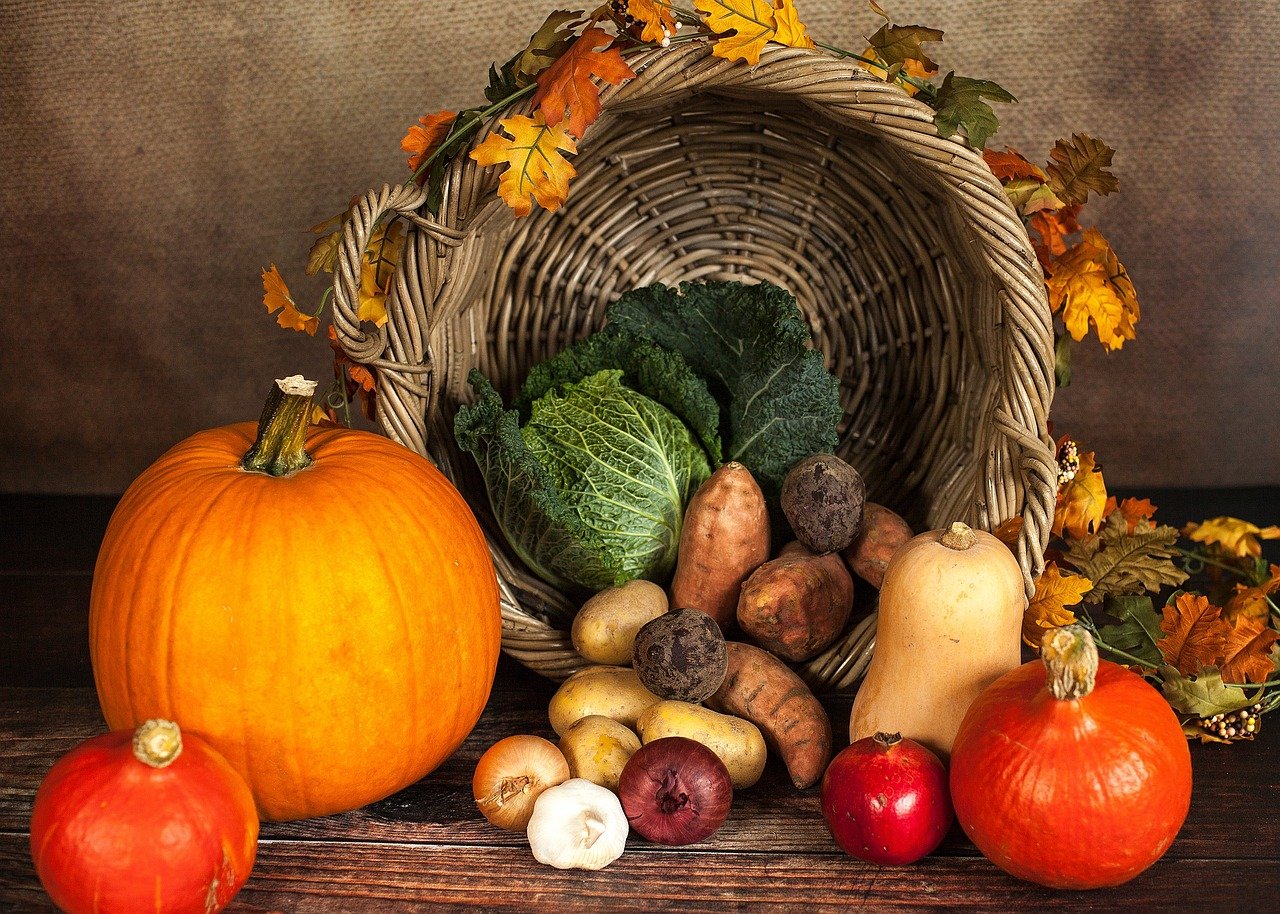 pumpkin, vegetables, autumn